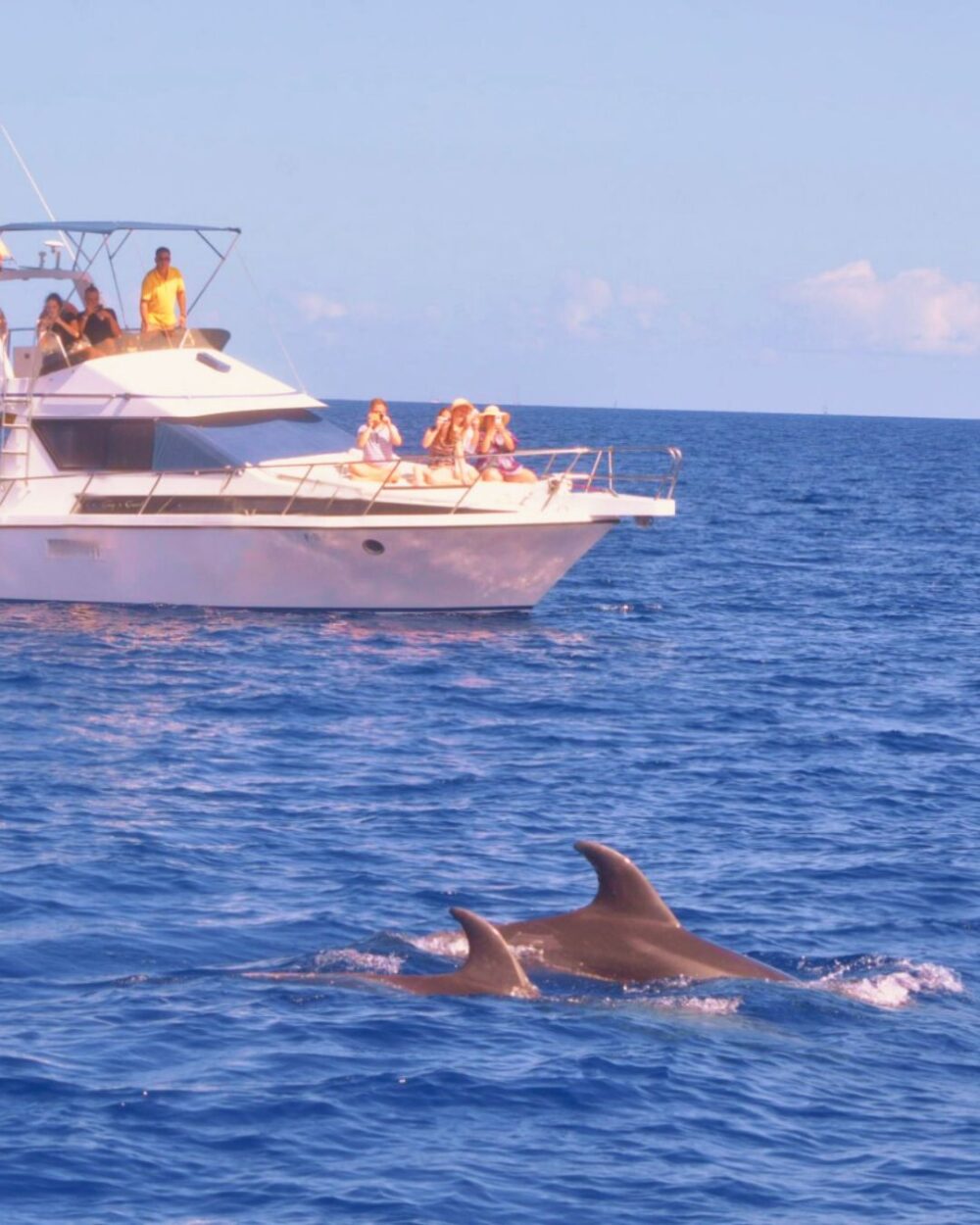 private cruise in tenerife