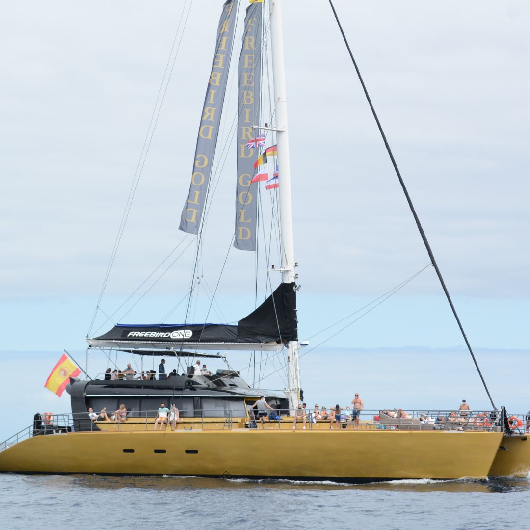 catamaran excursion tenerife