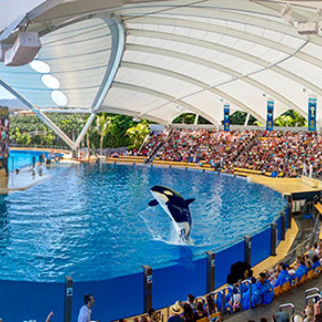 loro parque tenerife
