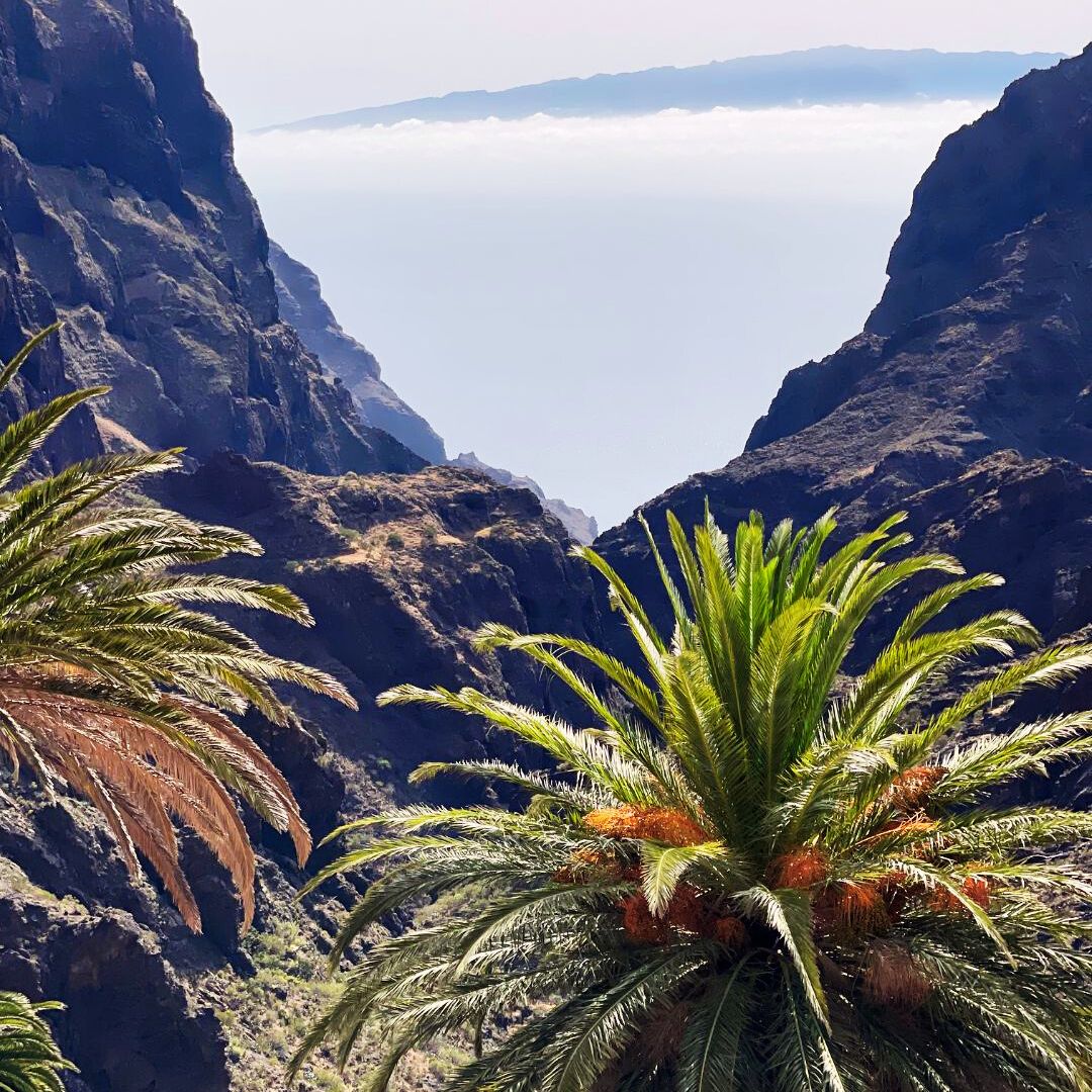 masca tenerife