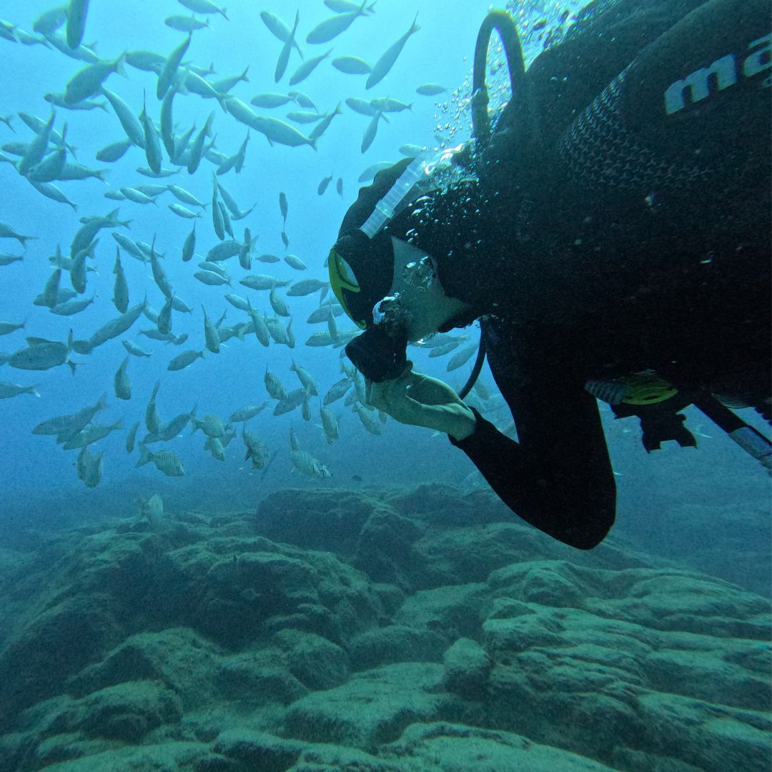 diving tenerife