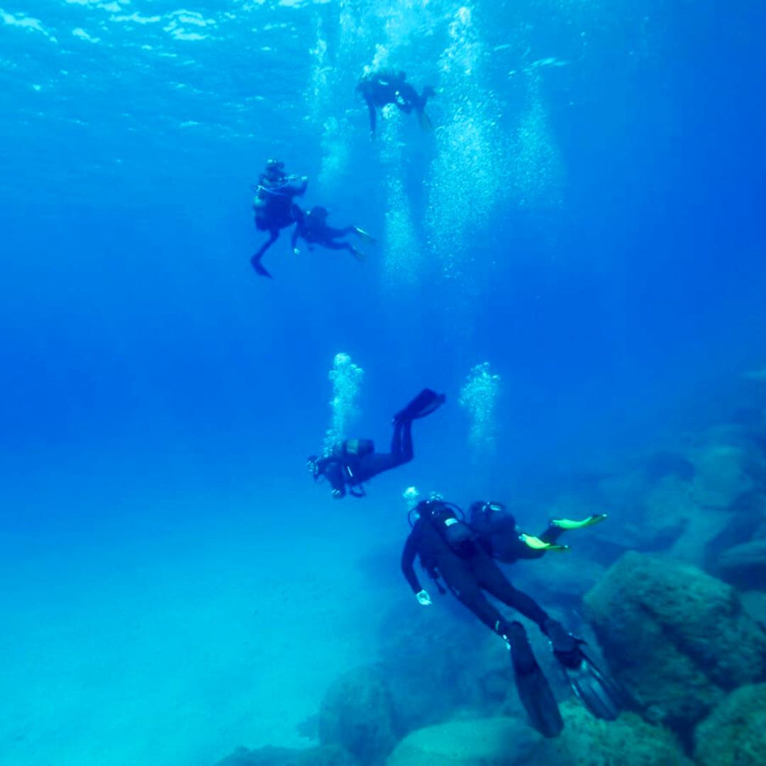 diving tenerife