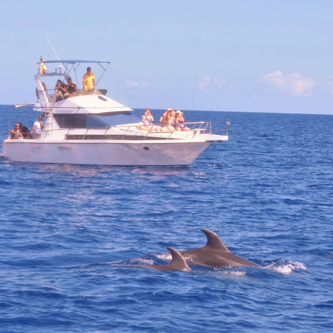 private yacht charter in tenerife