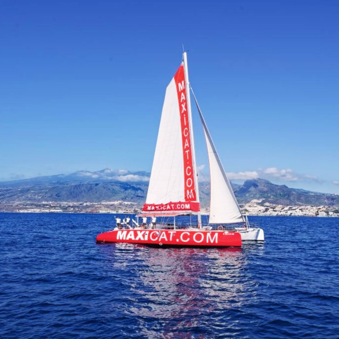 catamaran excursion tenerife