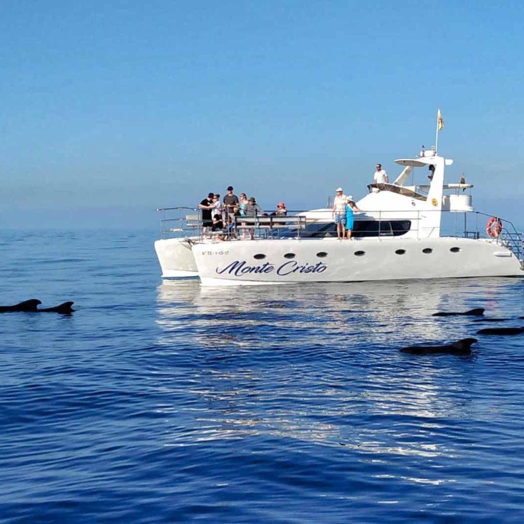 luxury catamaran in tenerife