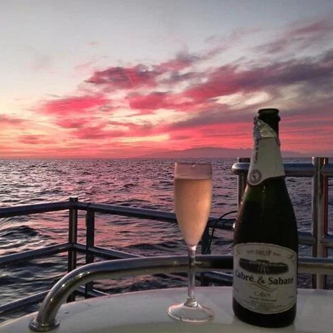luxury-catamaran-trip-in-tenerife-1080-20