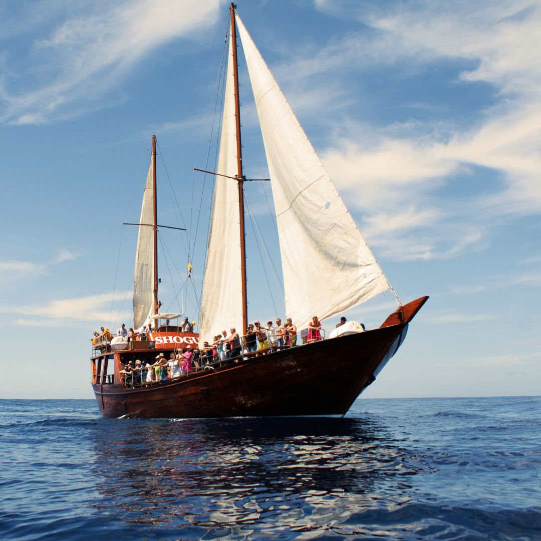 sailing ship shogun tenerife