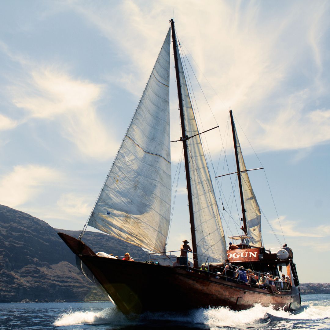 sailboat Shogun