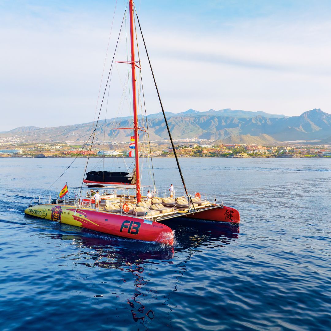 catamaran dolphin excursion