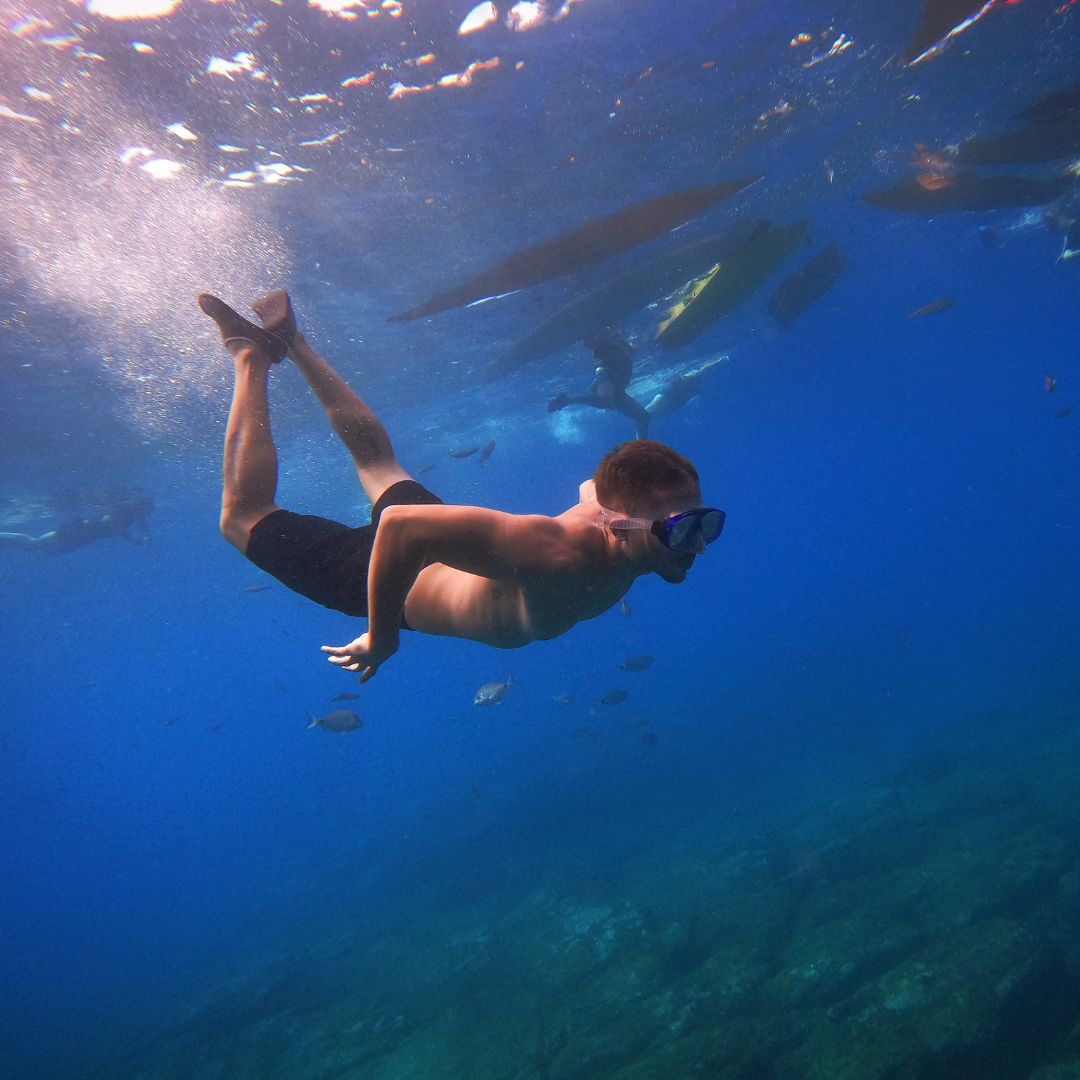 snorkelling in tenerife