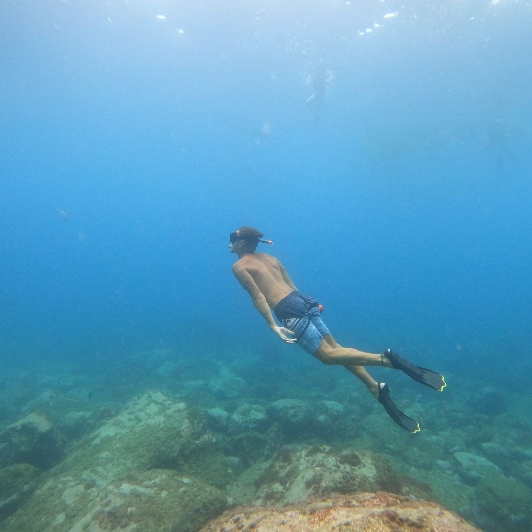 snorkelling in tenerife