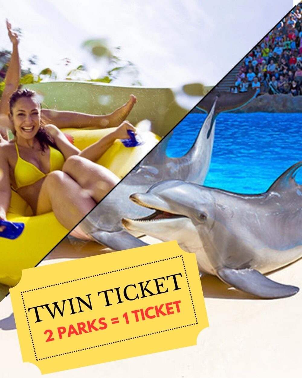 twin ticket tenerife