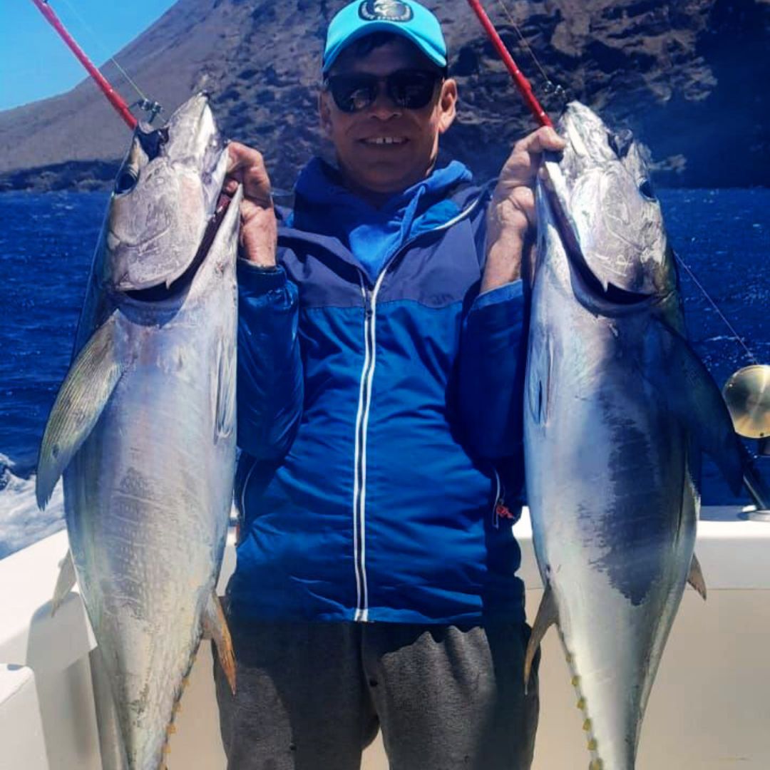 fish in tenerife