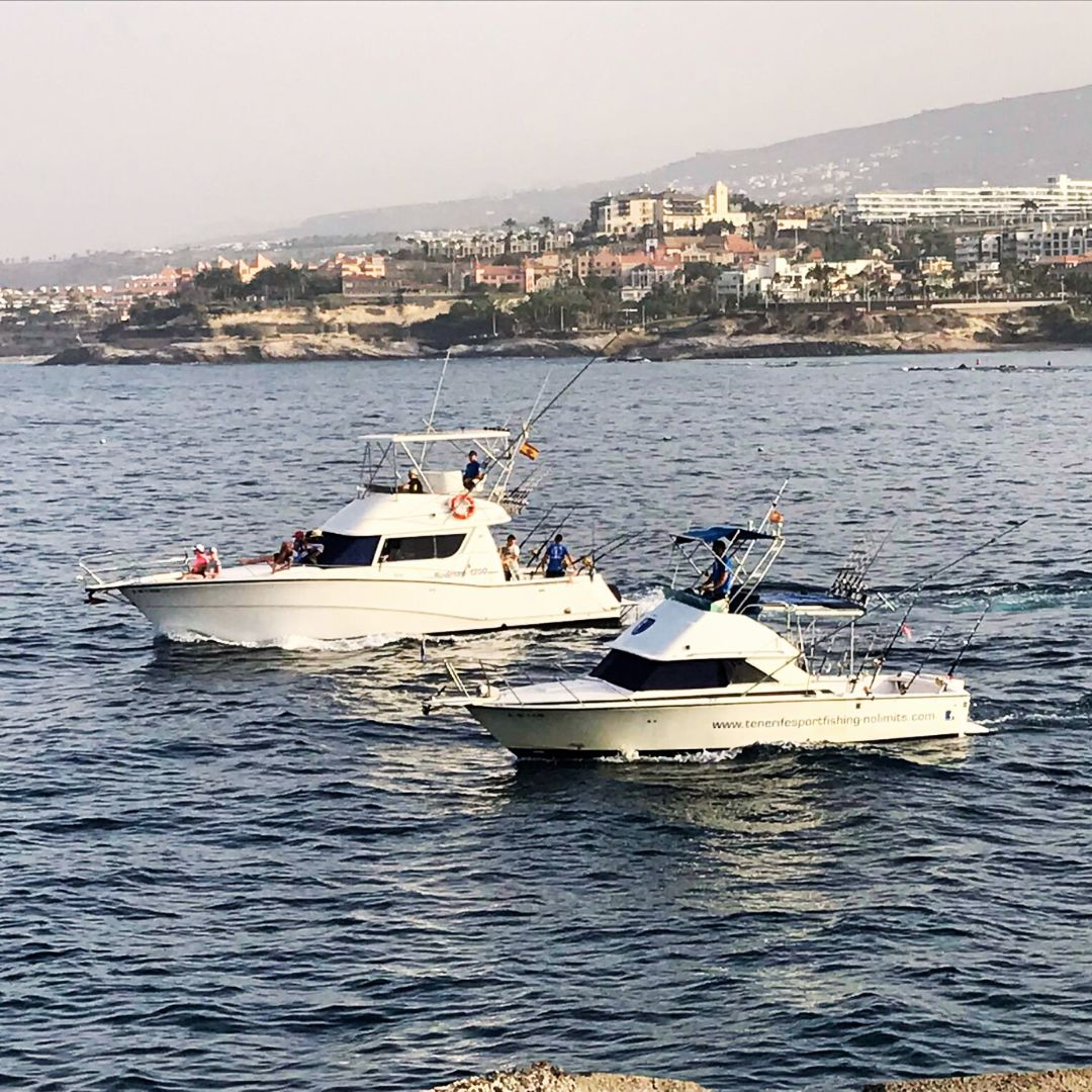 fishing tenerife