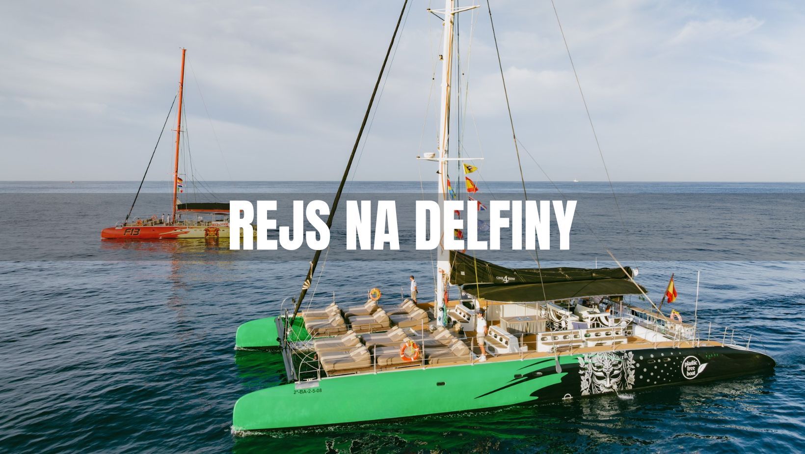 rejs na delfiny teneryfa