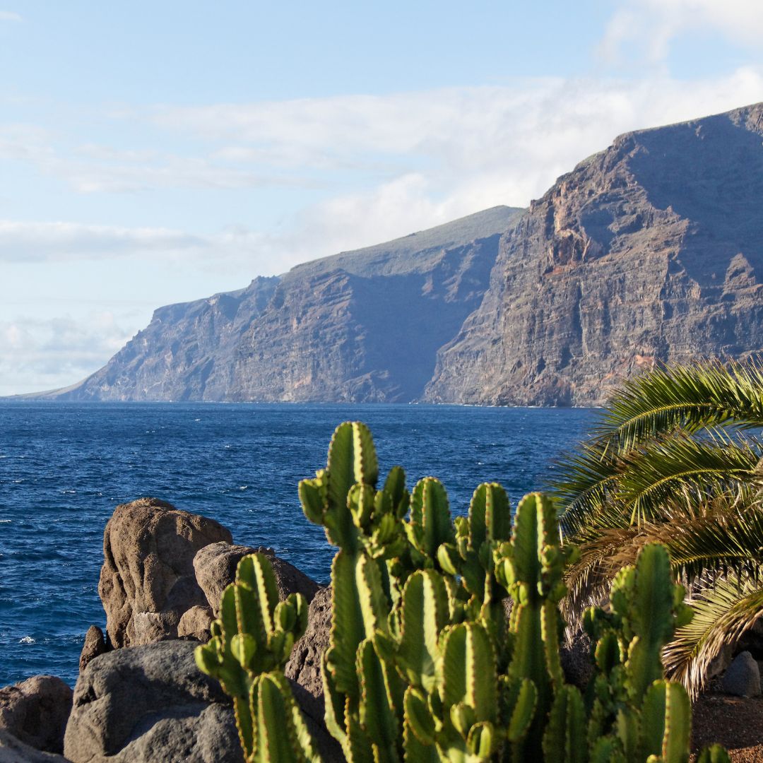 tenerife round trip - los gigantes