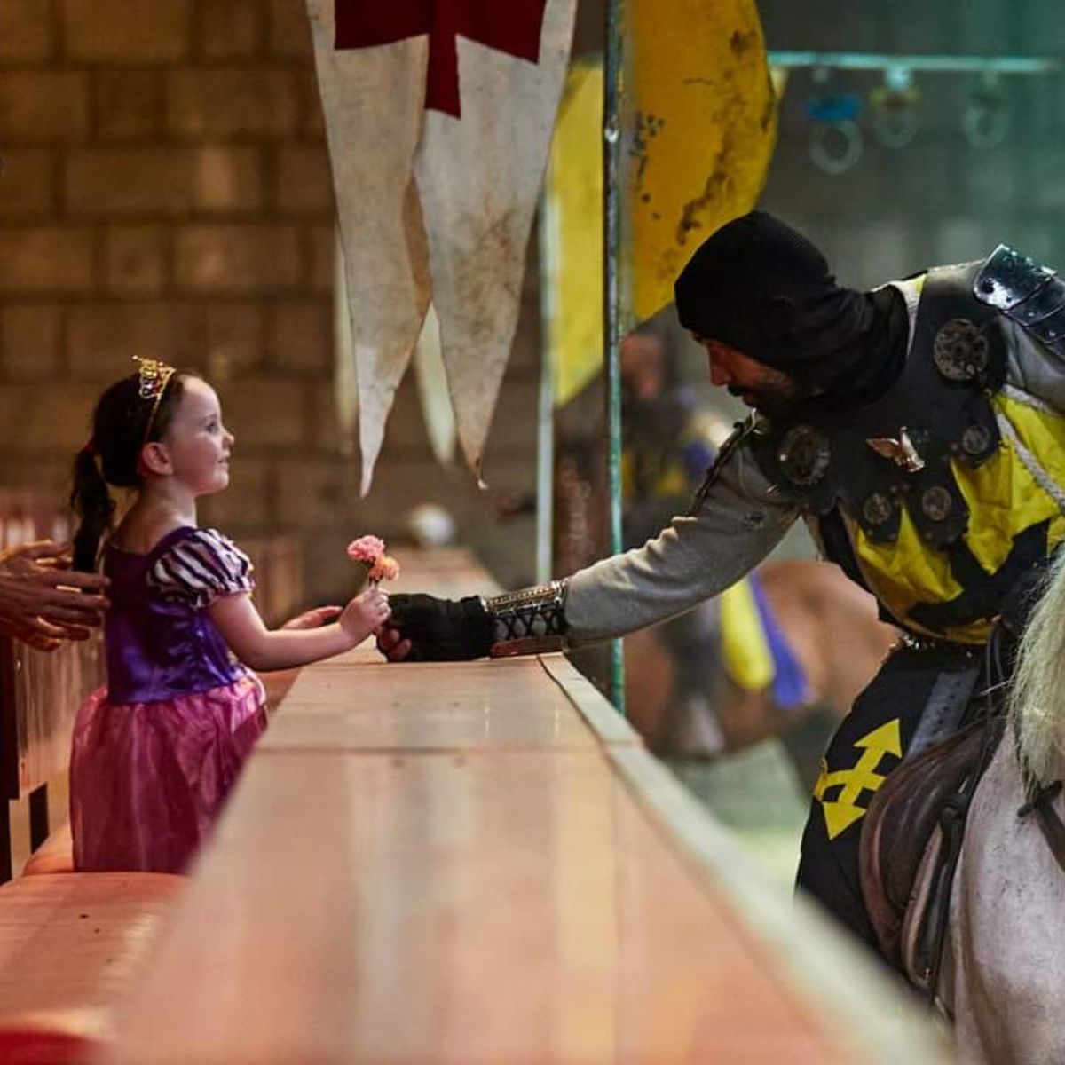 show at tenerife castle