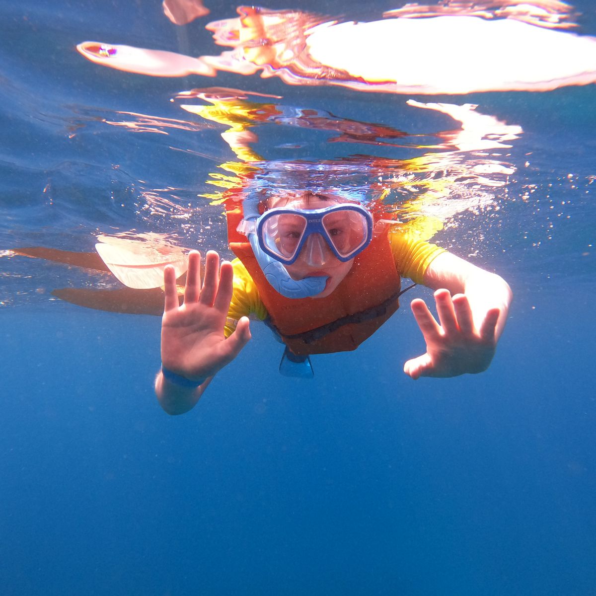 excursions in tenerife
