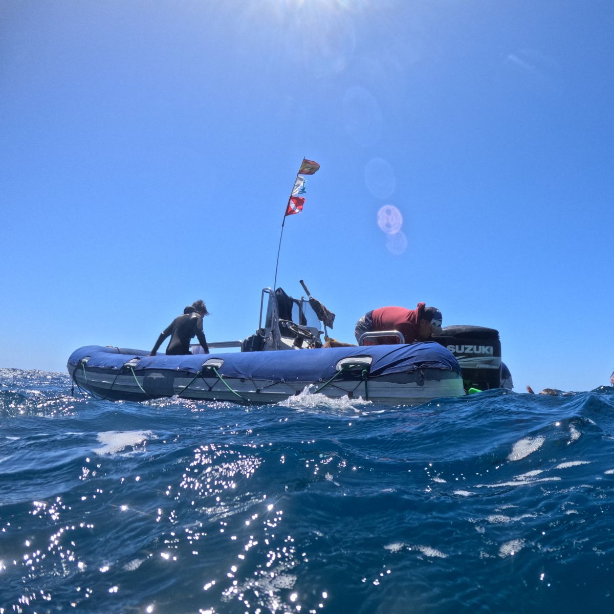snorkeling tenerife