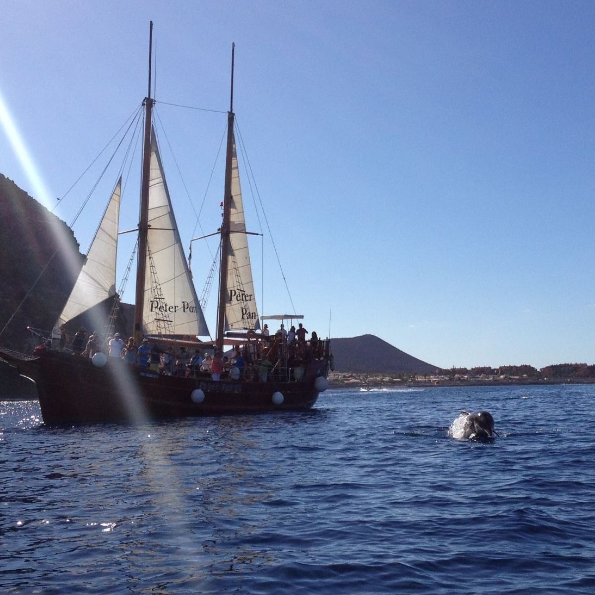 pirate boat cruise tenerife