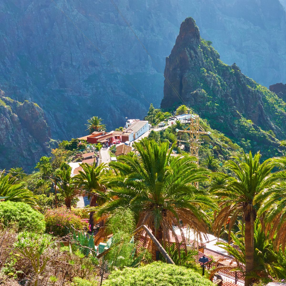 tour tenerife