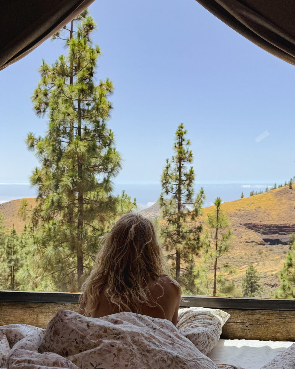 tenerife unconventional accommodation in a barrel overlooking the forest and ocean