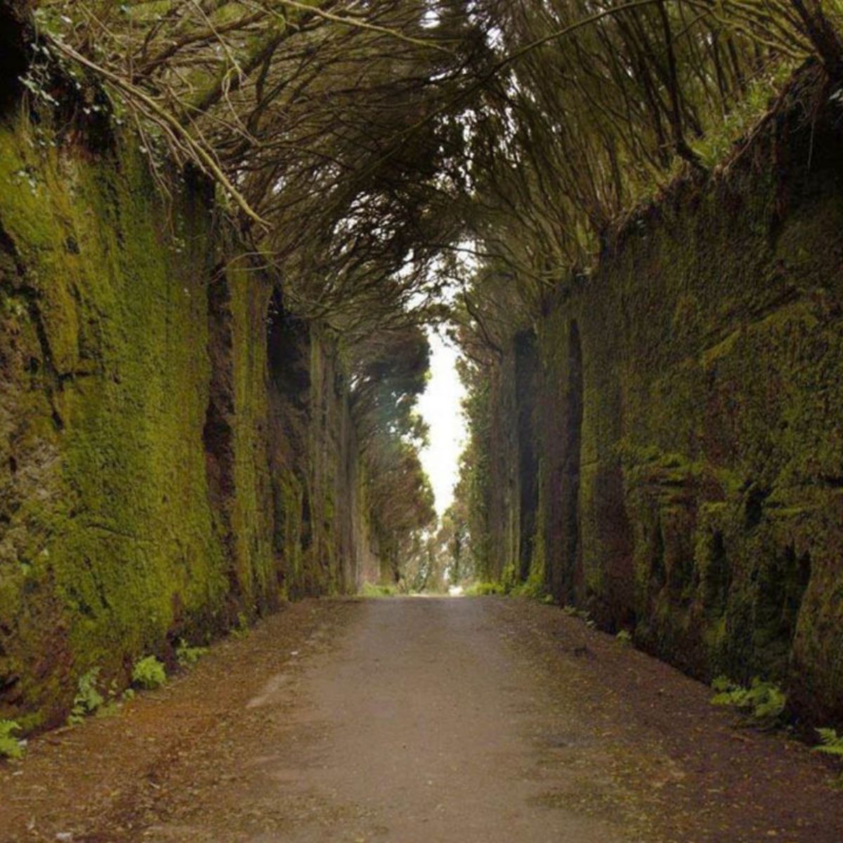 tenerife anaga famous place
