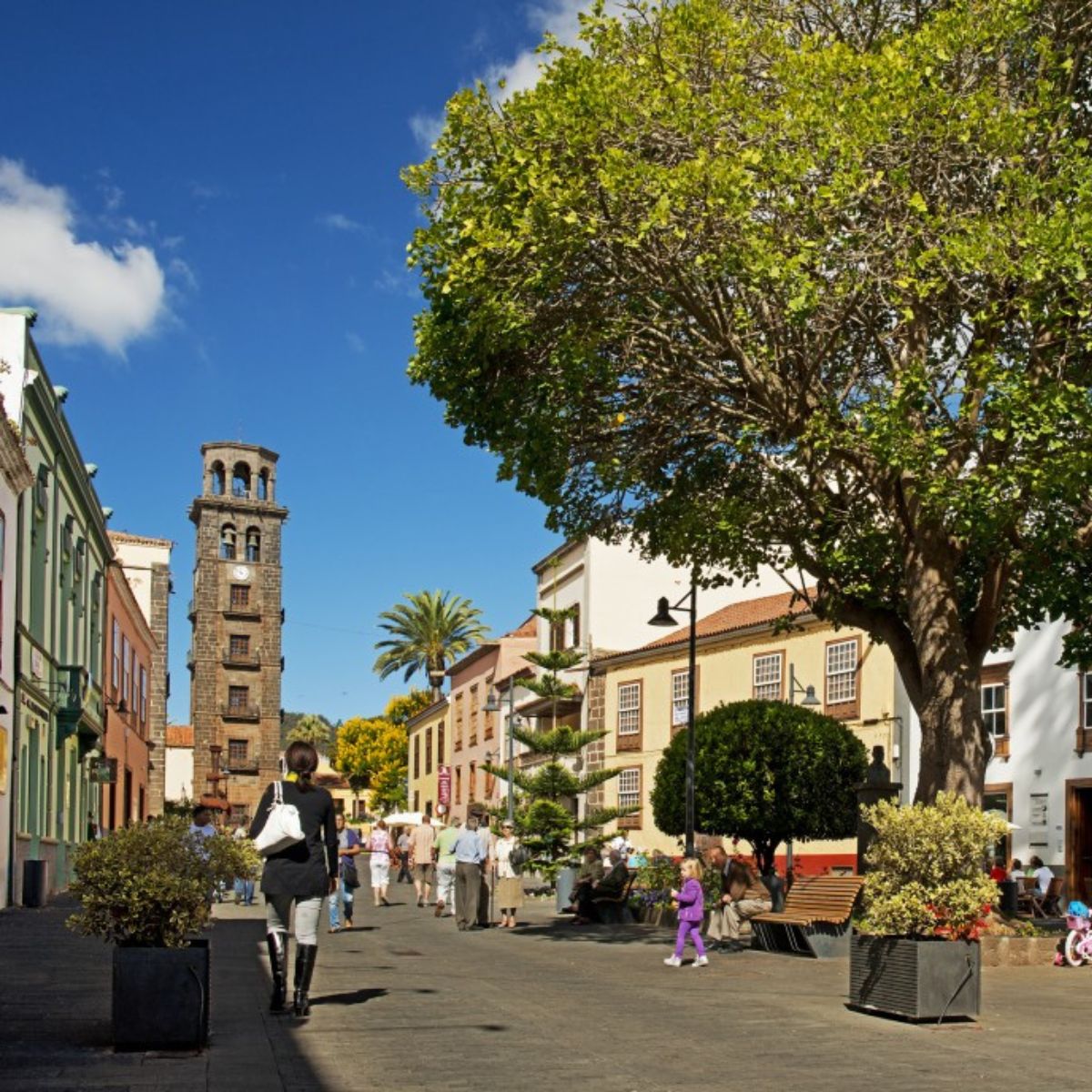 tenerife la laguna