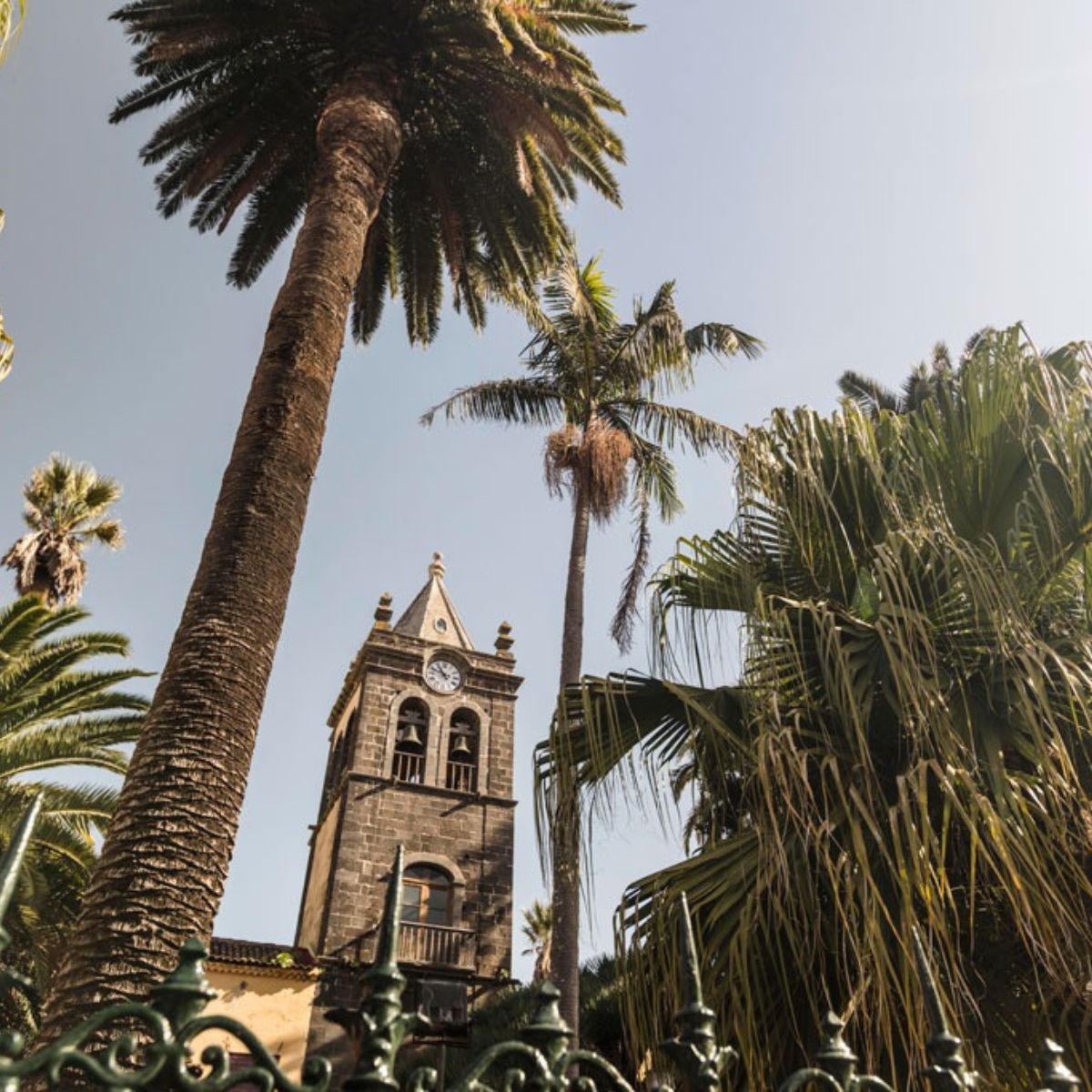 tenerife puerto de la cruz